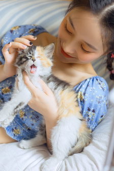 壮志高飞在线观看